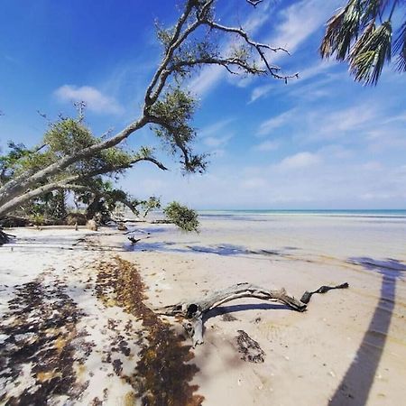 Tortuga Tillys Cape San Blas Buitenkant foto