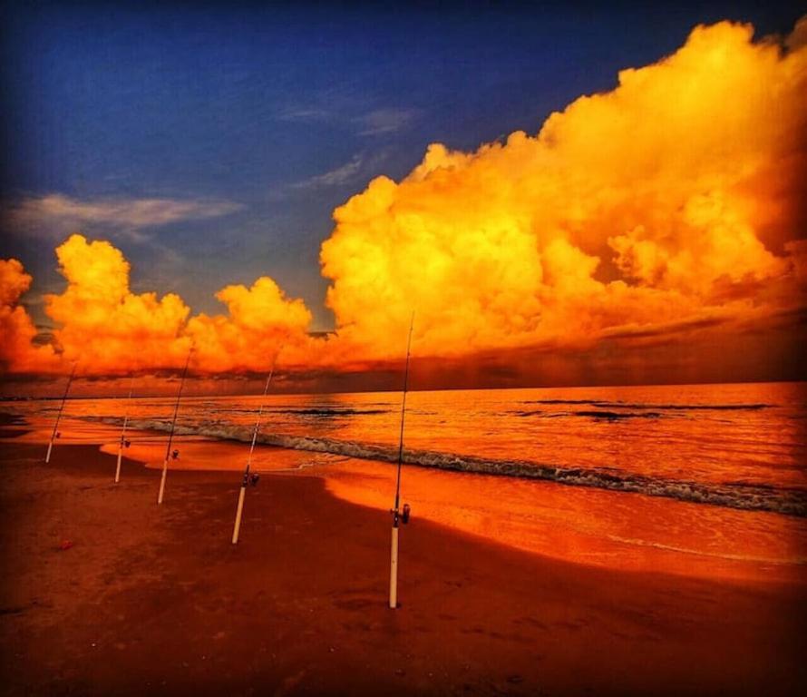 Tortuga Tillys Cape San Blas Buitenkant foto