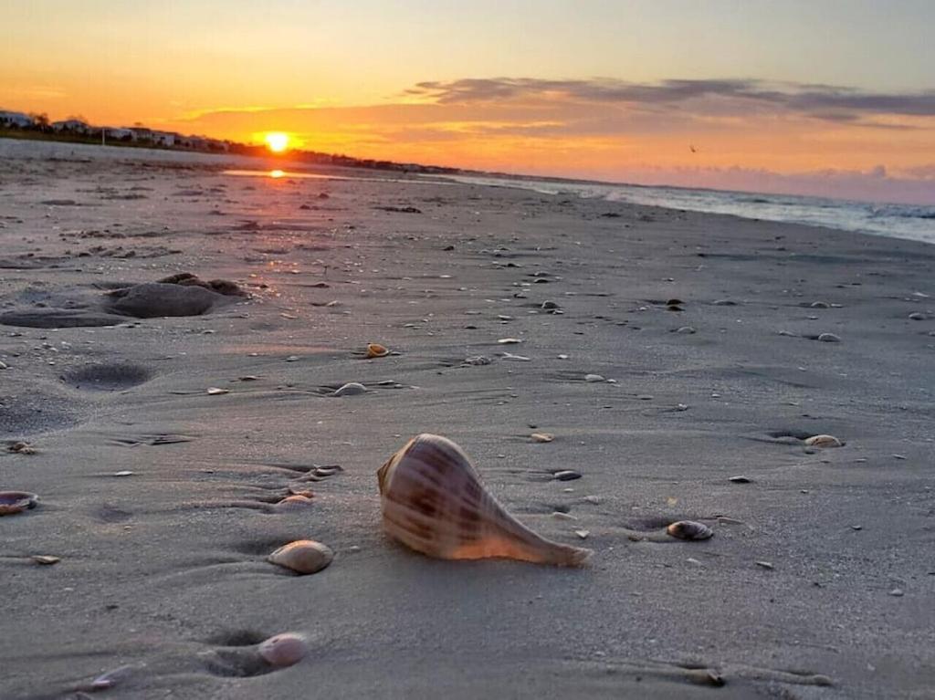 Tortuga Tillys Cape San Blas Buitenkant foto