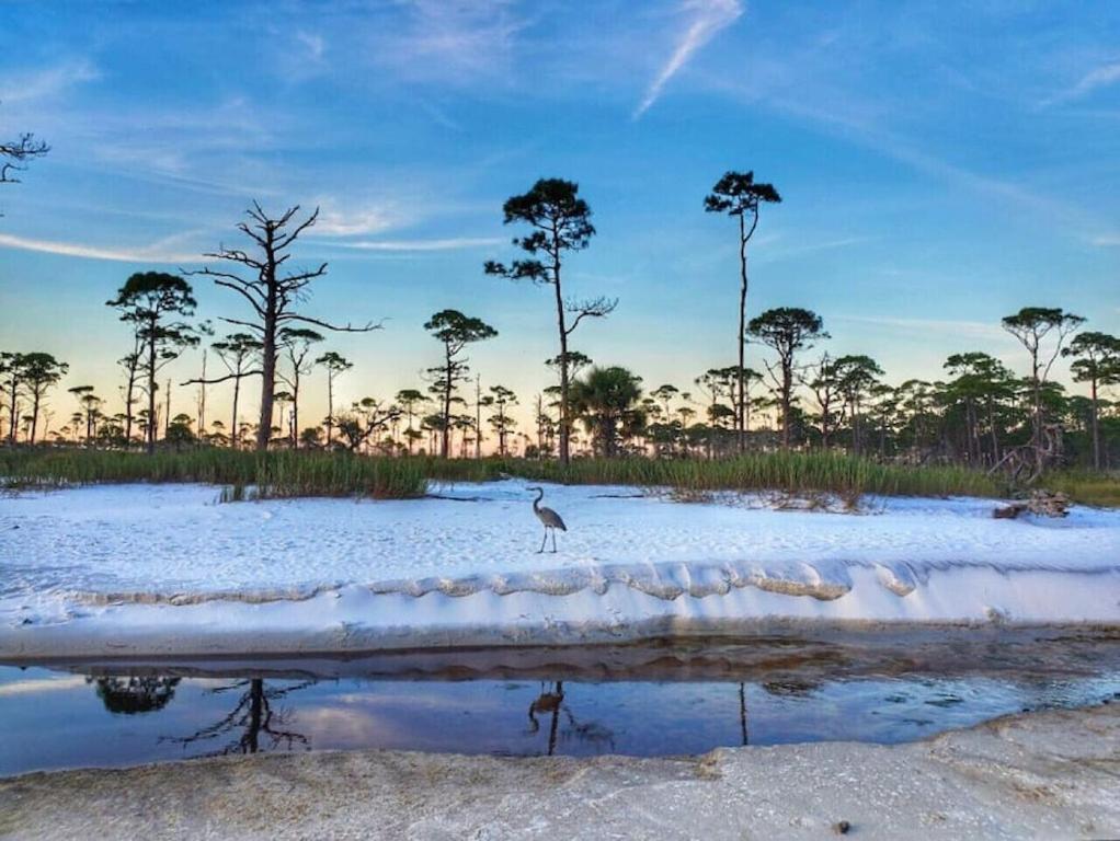 Tortuga Tillys Cape San Blas Buitenkant foto