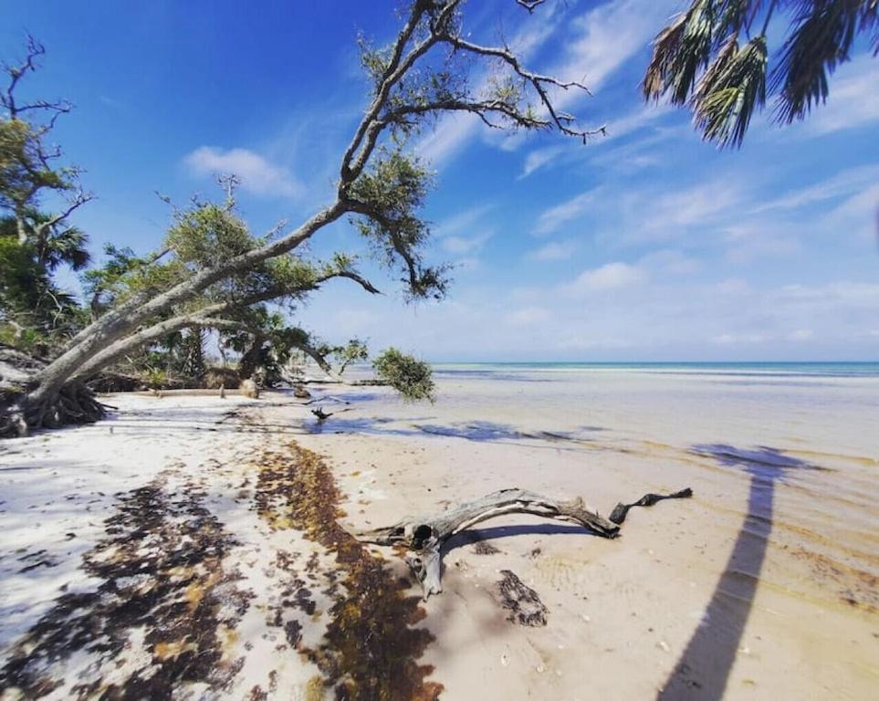 Tortuga Tillys Cape San Blas Buitenkant foto
